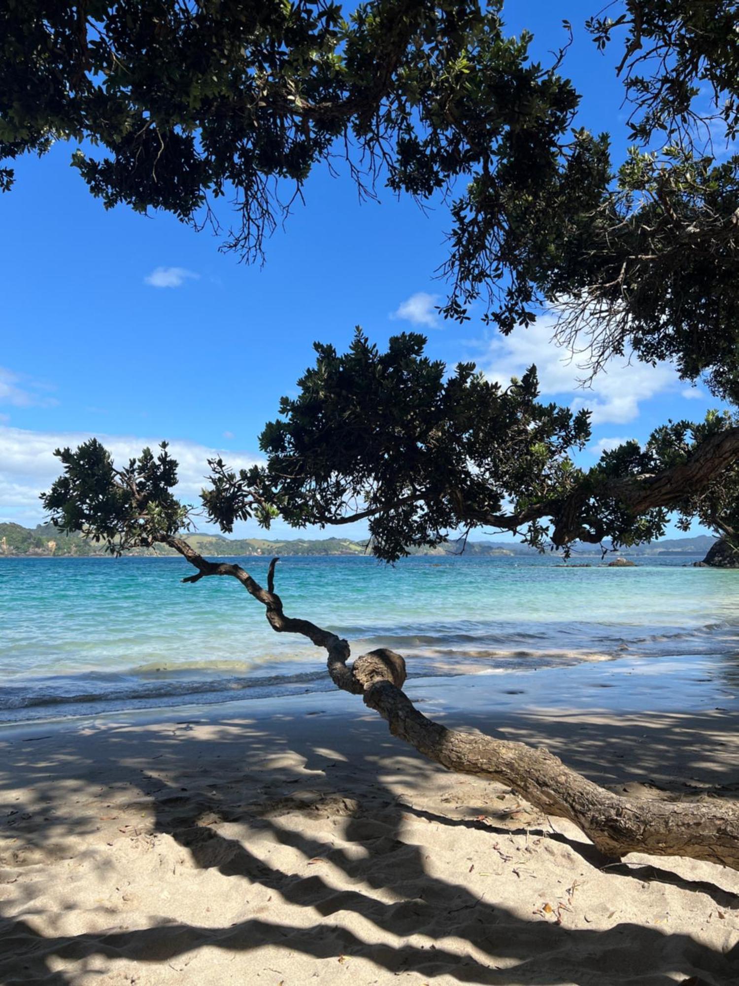 Tutukaka Sunrise公寓 外观 照片