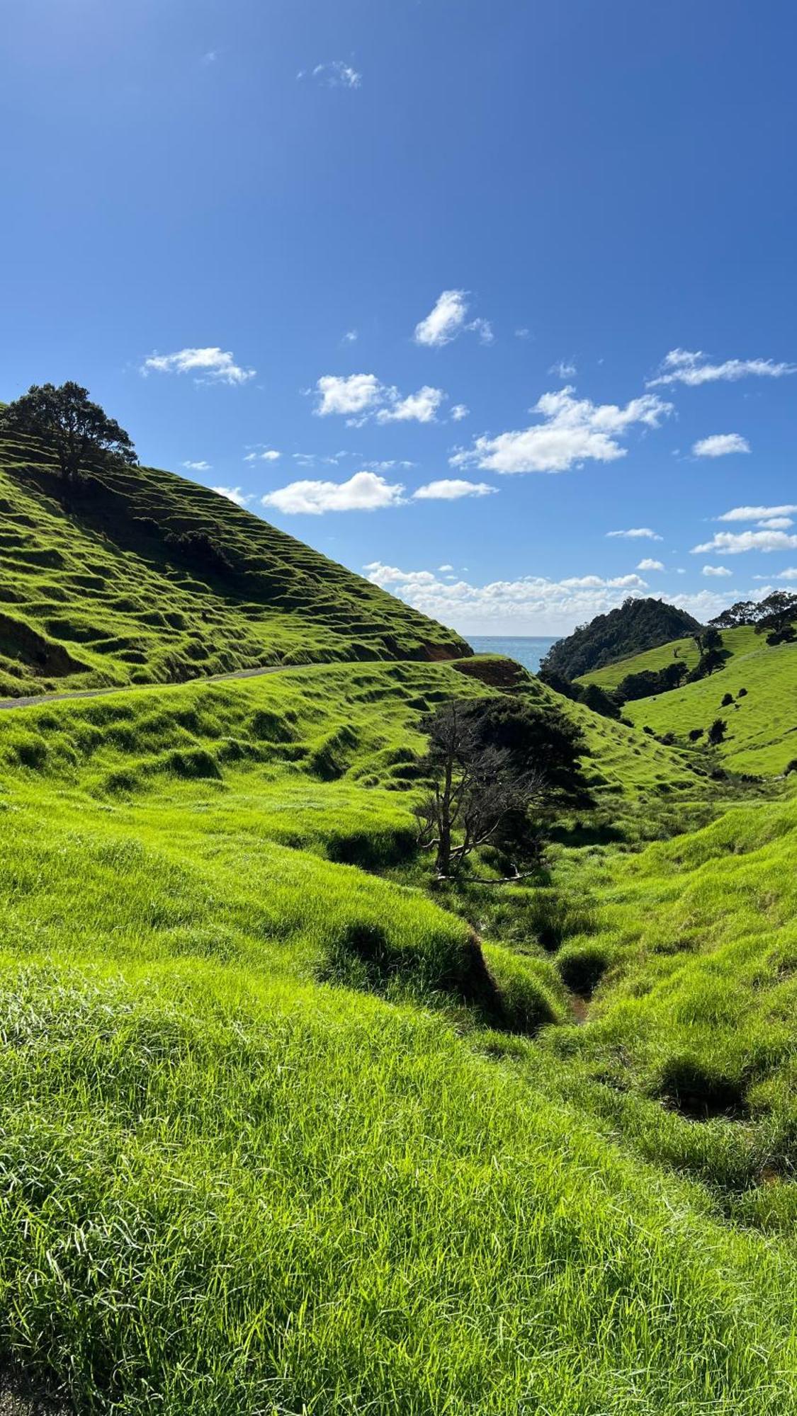 Tutukaka Sunrise公寓 外观 照片